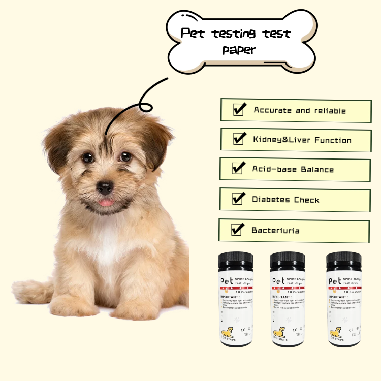 af71b0bd1a1cdee5f7e1c941000e89d