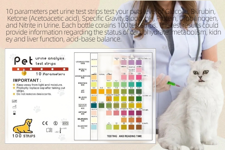 潮酷简约风国庆节服饰促销营销电商竖版海报